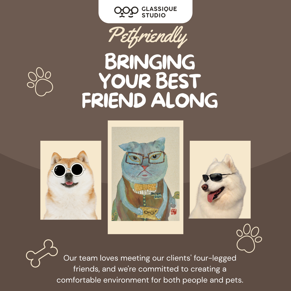 Glassique Studio_Petfriendly & Recycled