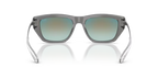 DIESEL 0DL2006 | 2027B6 | Transparent dark grey
