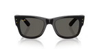 RAY-BAN 0RB0840S | 6826J5 | Black