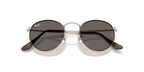 RAY-BAN 0RB4439D| 9277B1 | Matt Havana on Matt silver