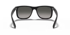 RAY-BAN 0RB4165 | 601/8G | Rubber Black