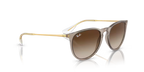 RAY-BAN 0RB4171| 674413 | Transparent light brown
