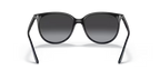 RAY-BAN 0RB4378| 601/8G| Black