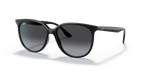 RAY-BAN 0RB4378| 601/8G| Black