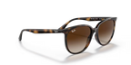 RAY-BAN 0RB4378| 710/13| Havana