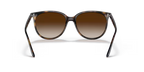 RAY-BAN 0RB4378| 710/13| Havana