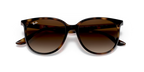 RAY-BAN 0RB4378| 710/13| Havana