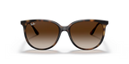 RAY-BAN 0RB4378| 710/13| Havana