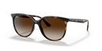 RAY-BAN 0RB4378| 710/13| Havana