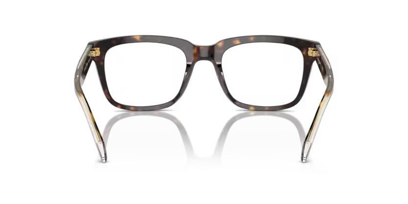 VOGUE 0VO5572 |W656 | Dark Havana