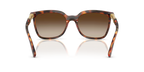 VOGUE 0VO5633SB | W65613 | Dark Havana
