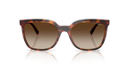 VOGUE 0VO5633SB | W65613 | Dark Havana