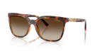 VOGUE 0VO5633SB | W65613 | Dark Havana