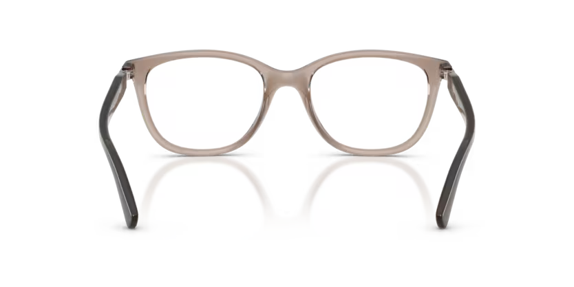 VOGUE 0VO5679B | 2940 |Transparent Brown