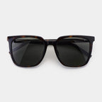SAINT LAURENT SLM146K | 002 | HAVANA