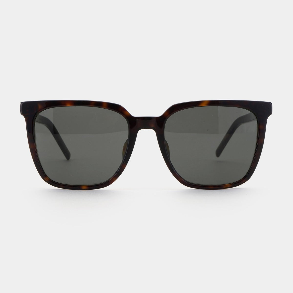 SAINT LAURENT SLM146K | 002 | HAVANA